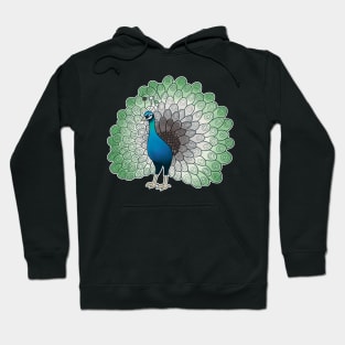 Aromantic Pride Peacock Hoodie